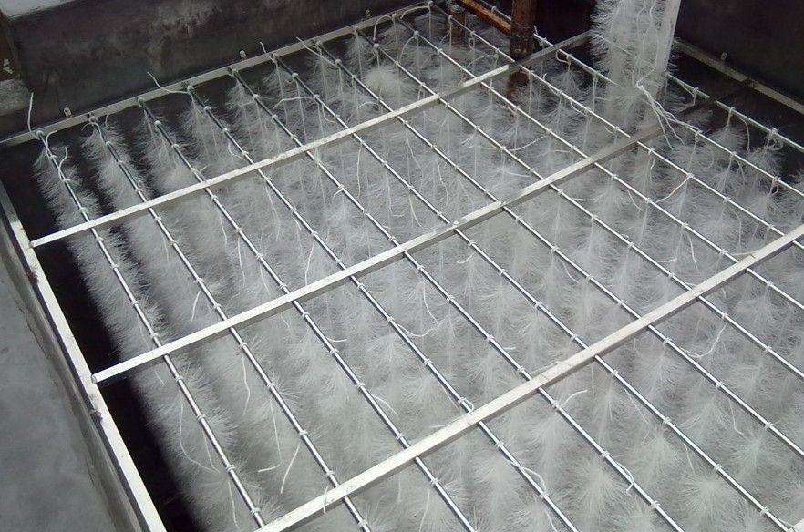 MBR生物掛膜 MBR生物掛膜