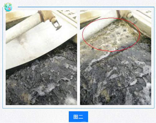 冷卻塔夏季藻類滋生處理方法.png 冷卻塔夏季藻類滋生處理方法.png