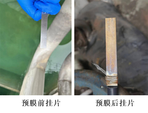 預(yù)膜前后的掛片 預(yù)膜前后的掛片